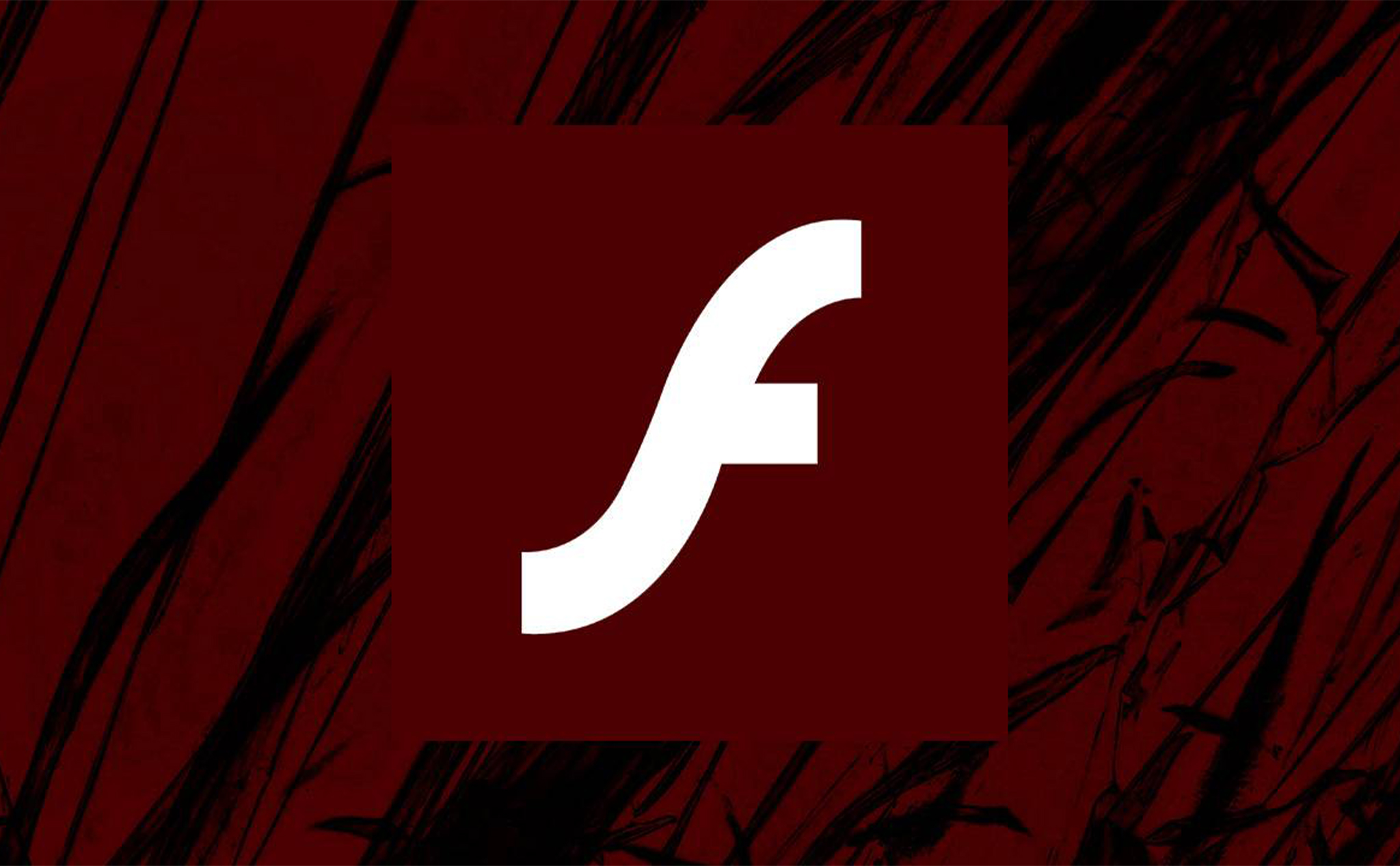 Bản cập nhật Windows 10 mới đã chặn Flash và ngăn người dùng cài đặt lại nó