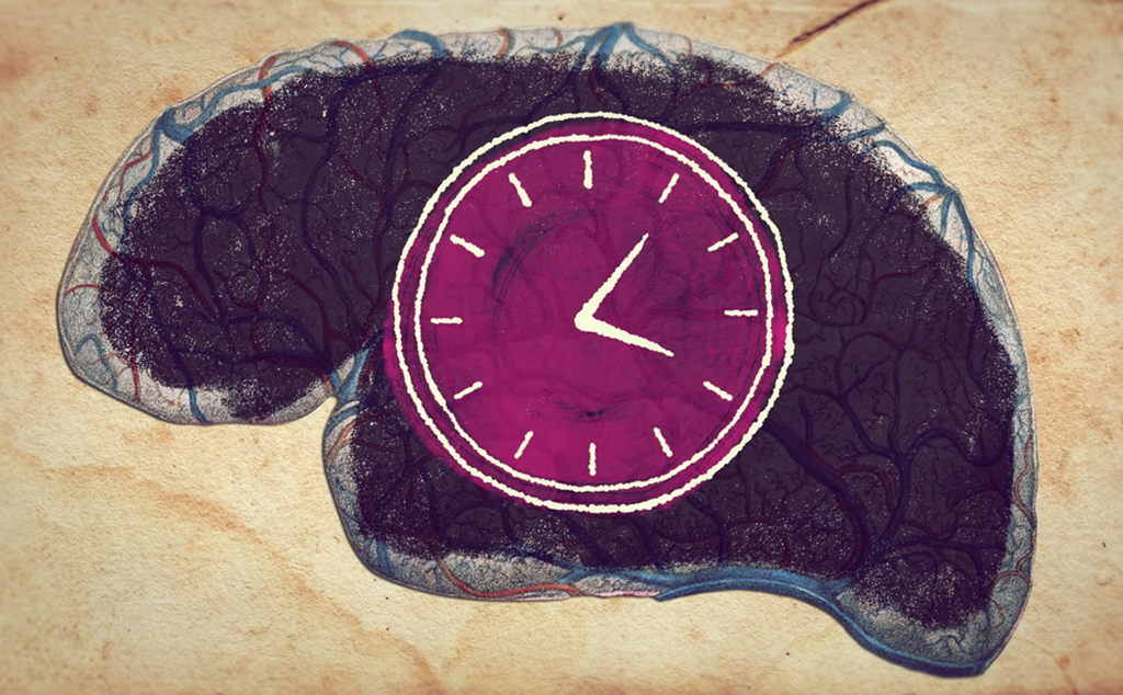 Có thể bạn chưa biết: Não nhận biết thời gian như thế nào khi không có ánh sáng và đồng hồ?