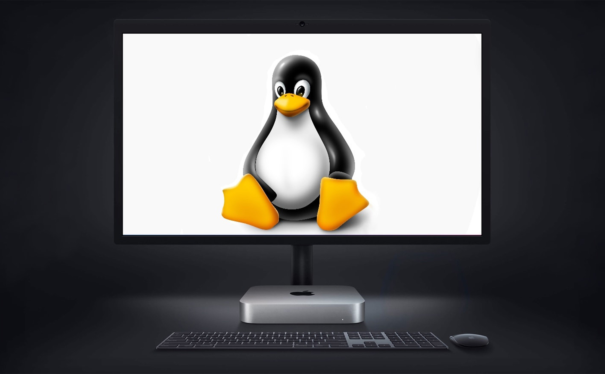 Một lập trình viên đang kêu gọi tài trợ trên Patreon để đưa Linux lên máy Mac M1