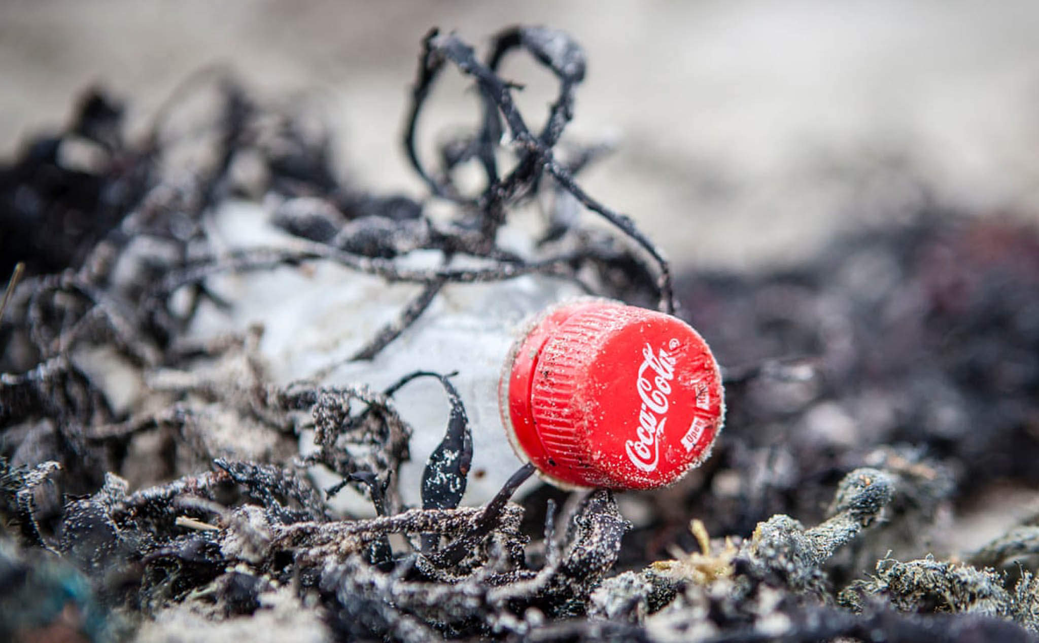 Coca-Cola, PepsiCo và Nestlé tạo ra nhiều rác thải nhựa nhất hành tinh, 3 năm liên tục