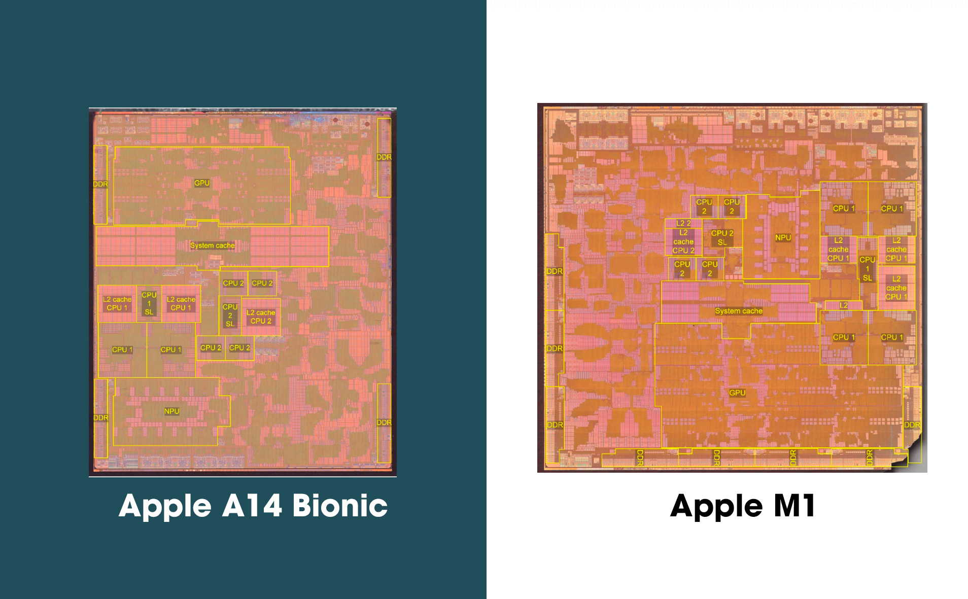 Apple M1 vs. Apple A14 Bionic: diện tích lớn hơn, nhân CPU giống nhau nhưng gấp 2 số lượng