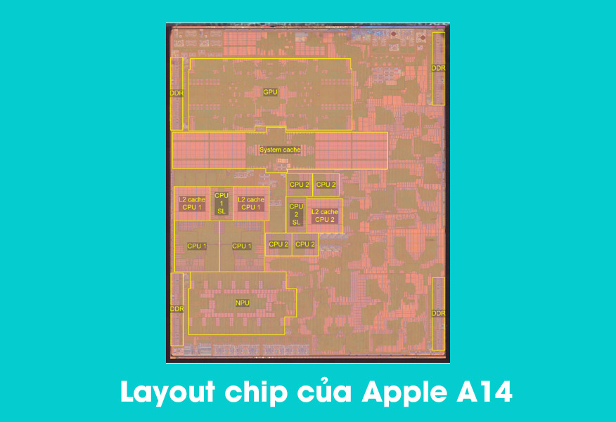 apple-a14-die-photo-1.jpg
