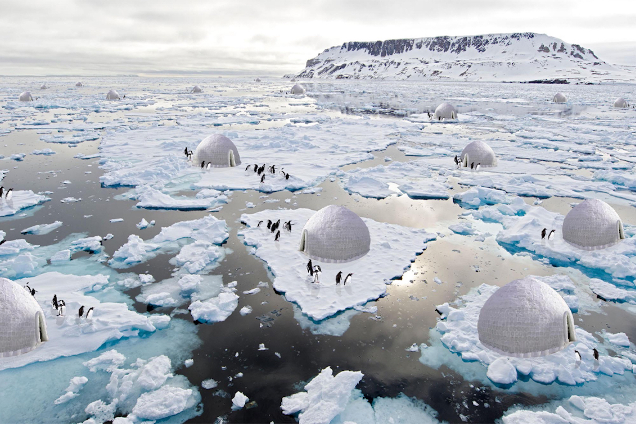 Dự án khoa học khủng tìm cách ngăn chặn băng tan ở Nam Cực  Báo Công an  Nhân dân điện tử