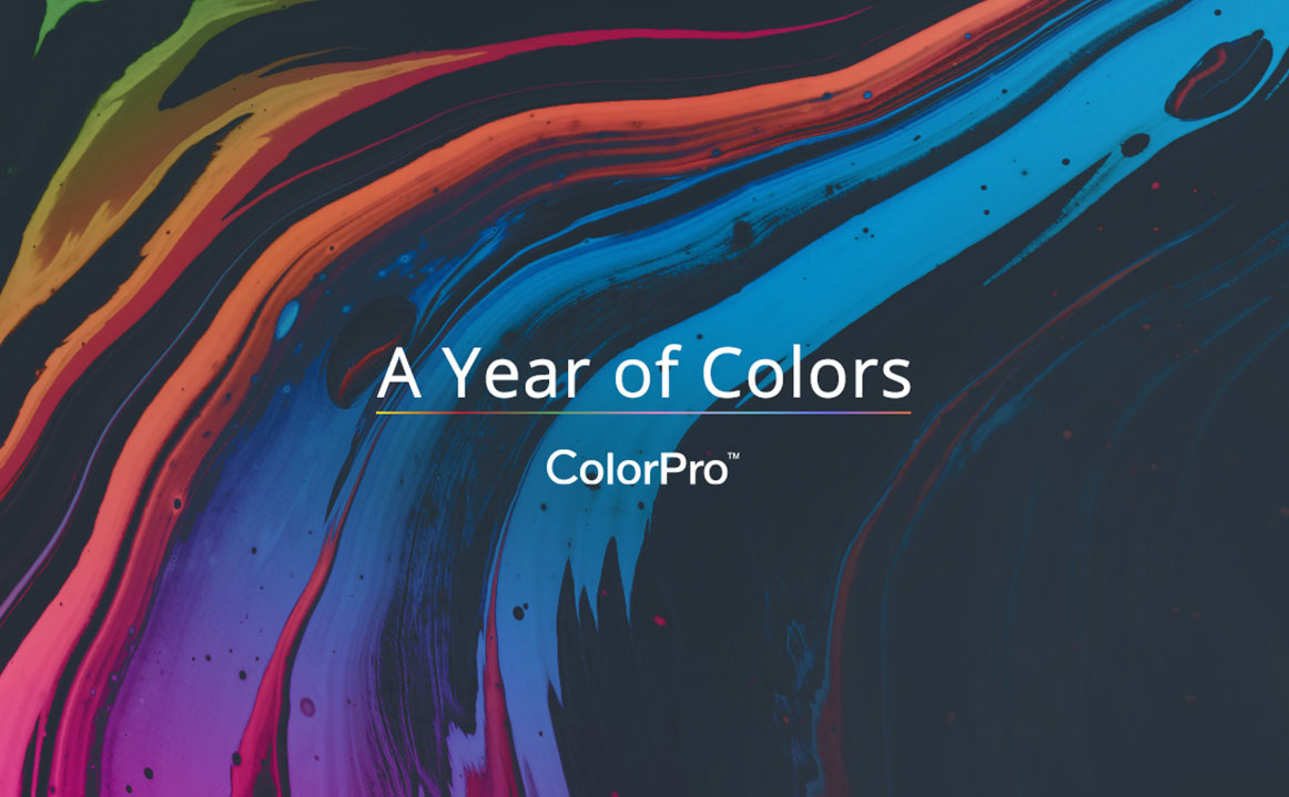 ViewSonic công bố cuộc thi ảnh toàn cầu với chủ đề “A Year of Colors”, giải thưởng hấp dẫn