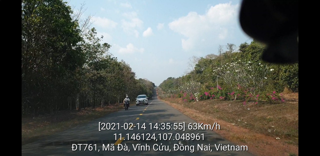 Ở Vĩnh Cửu có một đường hoa dài gần ba chục km Đường hoa Nguyễn Huệ không là gì cả