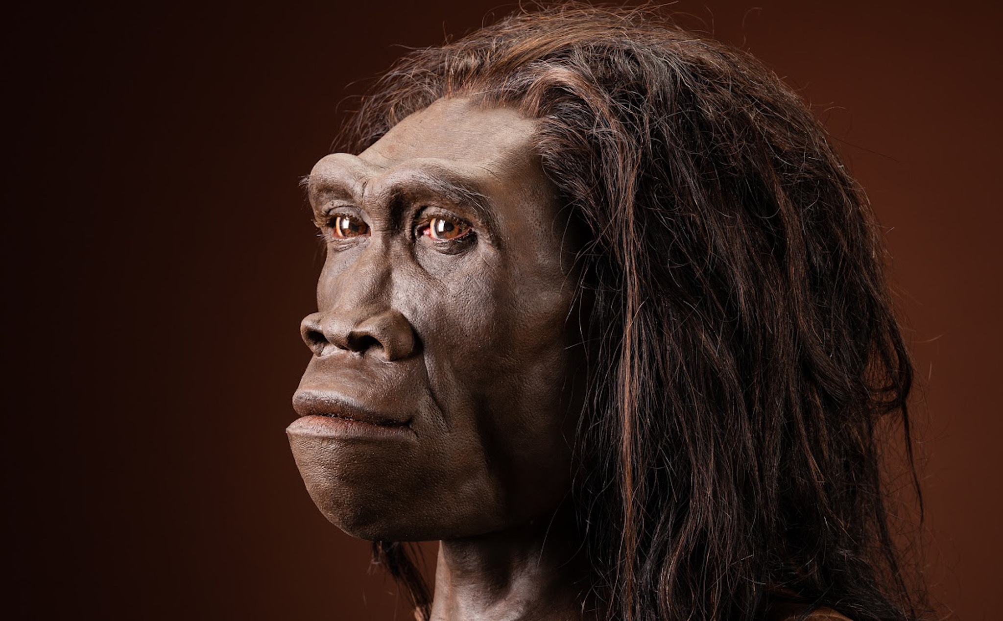 Có thể bạn chưa biết: Chính tính lười biếng đã khiến chủng người Homo Erectus tuyệt chủng