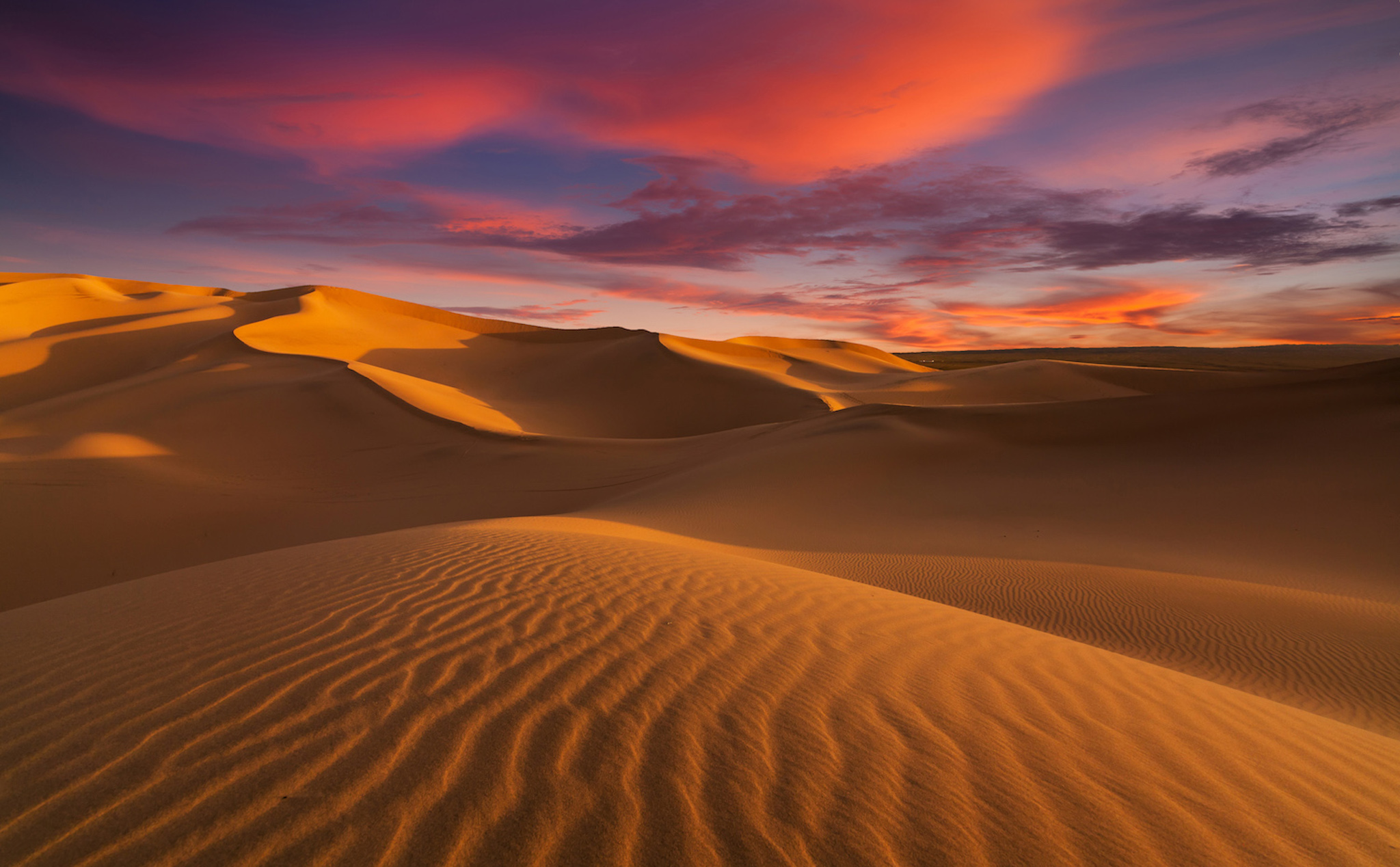 Tại sao sa mạc lạnh về đêm, các động thực vật thích nghi với sự chênh lệch nhiệt độ bằng cách nào?