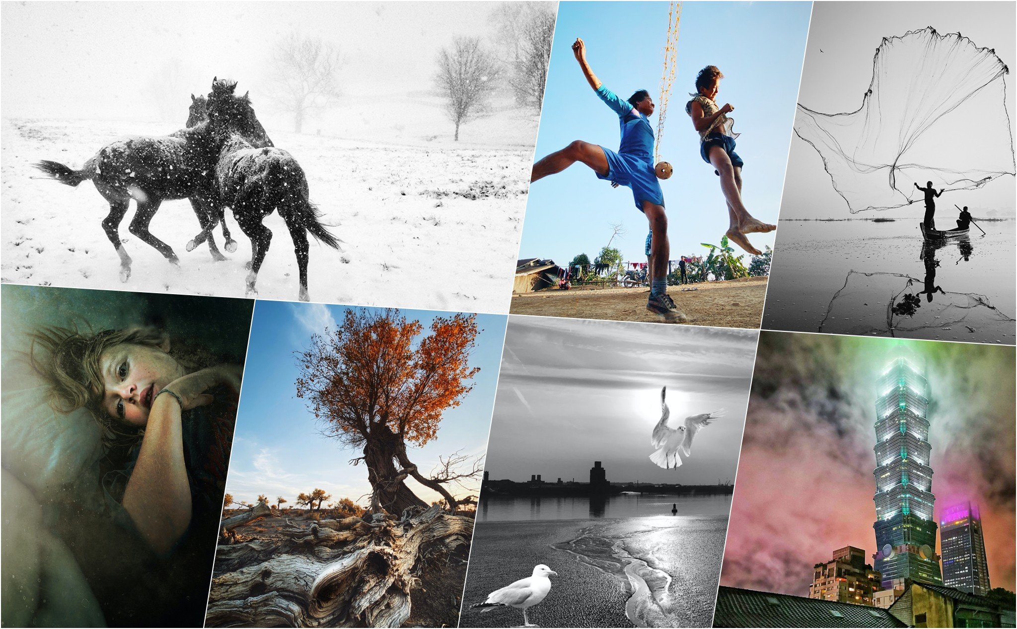 Cùng xem 150 tấm ảnh đẹp nhất tại cuộc thi Mobile Photography & Art năm 2020
