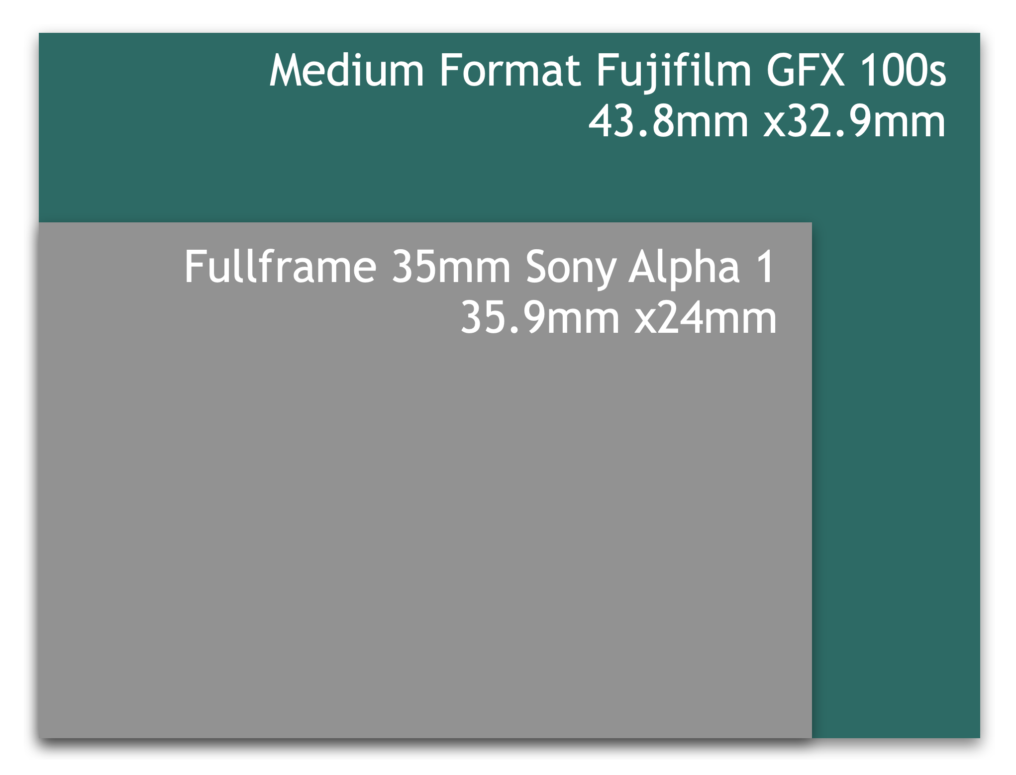 Sony Alpha 1 & GFX 100s Sensor size.png
