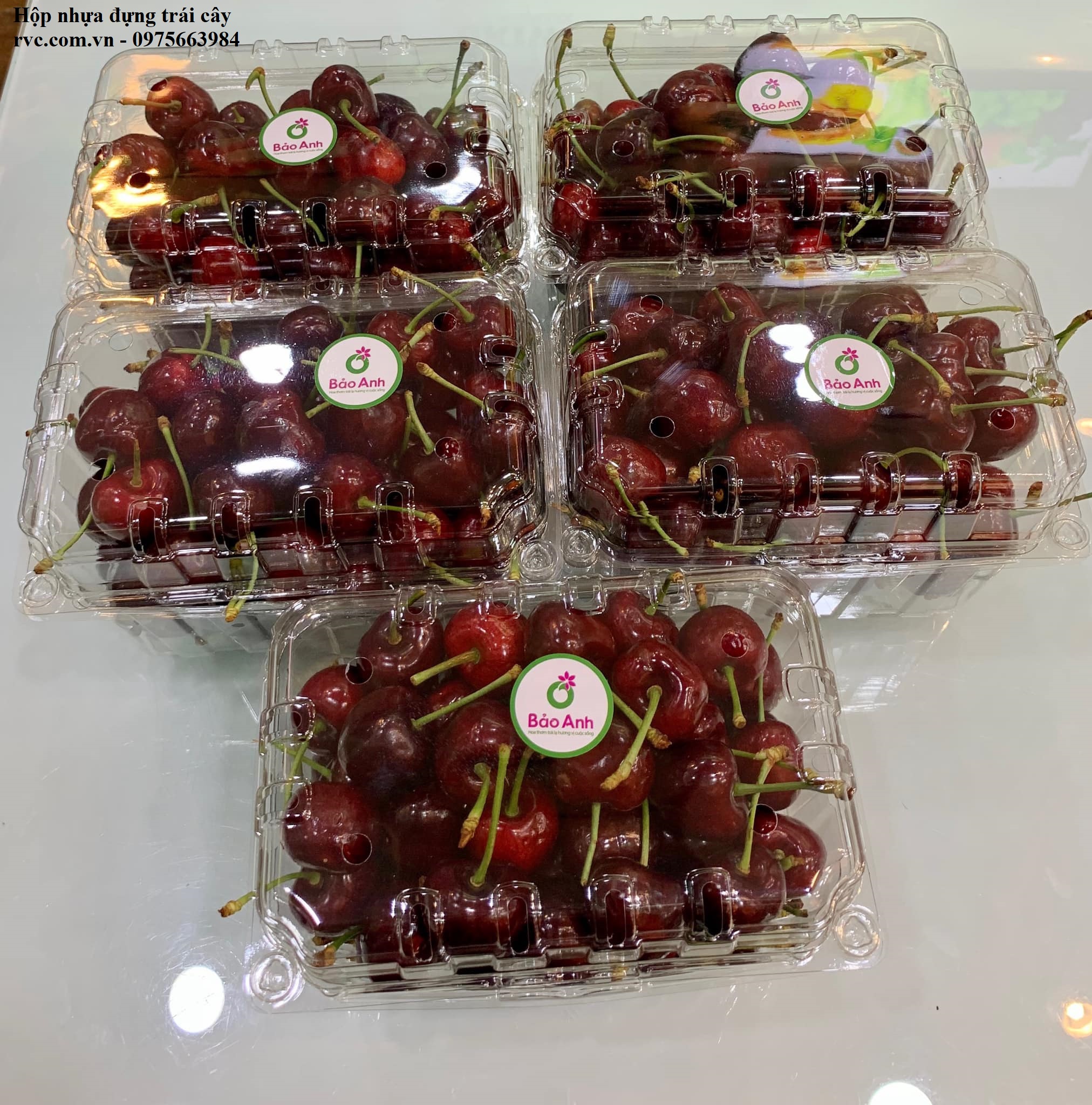 Hộp nhựa trái cây jadebox đựng 1kg cherry