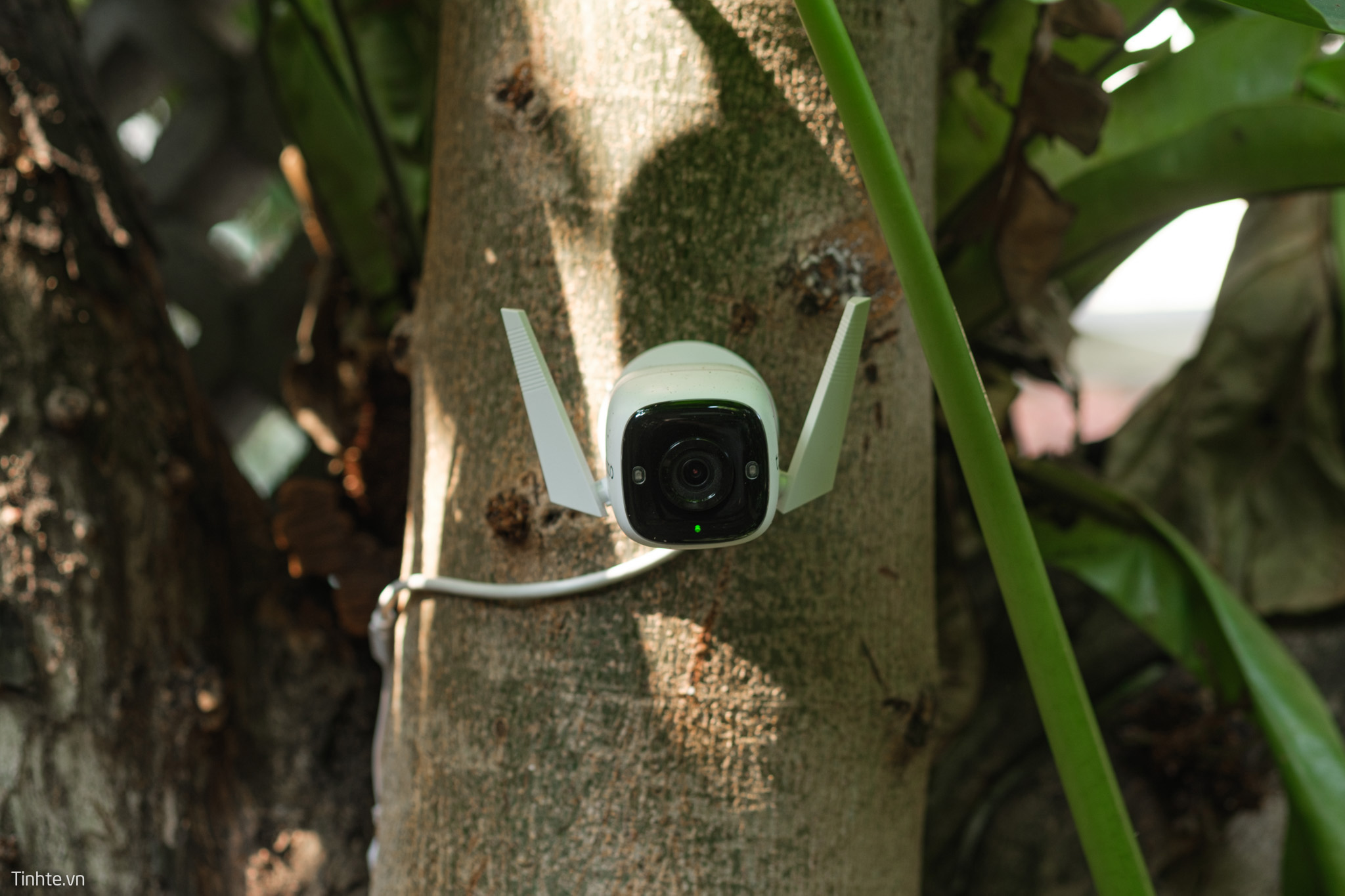 Trên tay TP-Link Tapo C310: Camera an ninh ngoài trời với nhiều tính năng thông minh