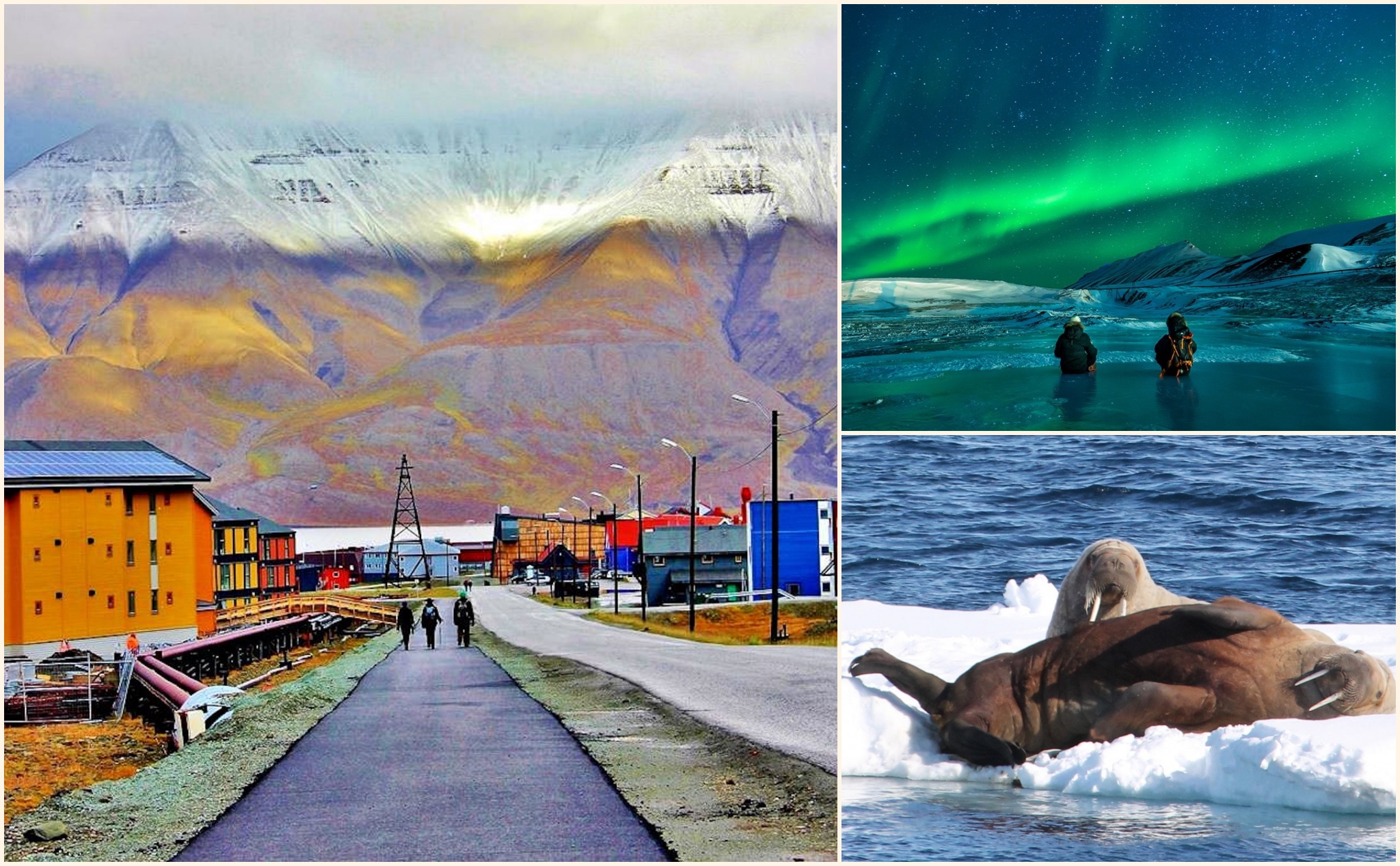 Hòn đảo ở Bắc Cực: nơi người dân mang súng trường khi ra ngoài và miễn visa cho khách đến ở
