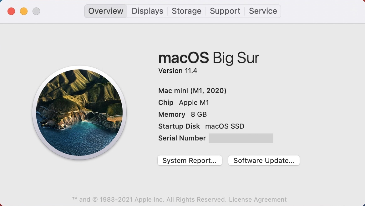 SSD của Mac Mini M1 rất là nhanh...