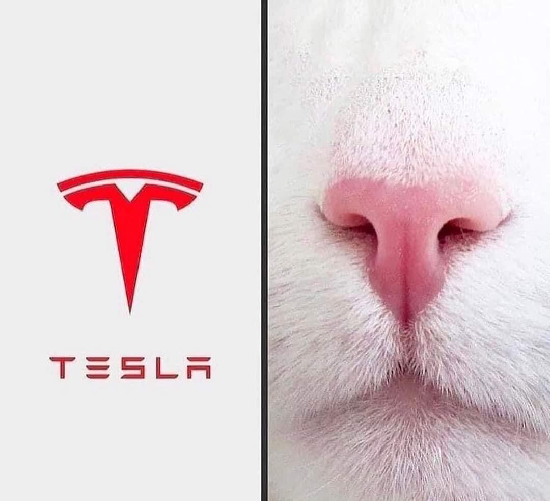 Ý tưởng để tạo ra logo Tesla chăng