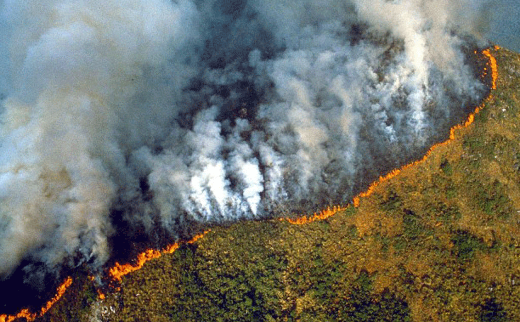 Không còn là "lá phổi" của Trái Đất, rừng Amazon đang là nguồn phát thải CO2 lớn với 1.5 tỷ tấn/năm