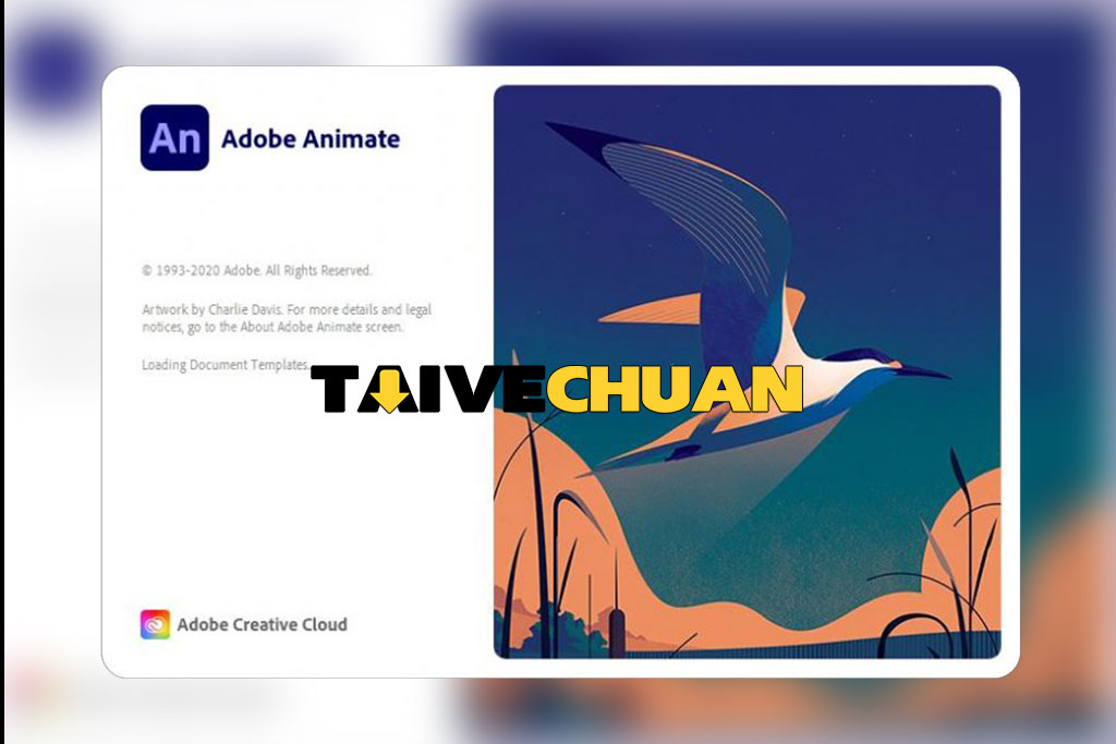 Tải Adobe Animate CC 2021 Full ..... –Link Google Driver tốc độ cao