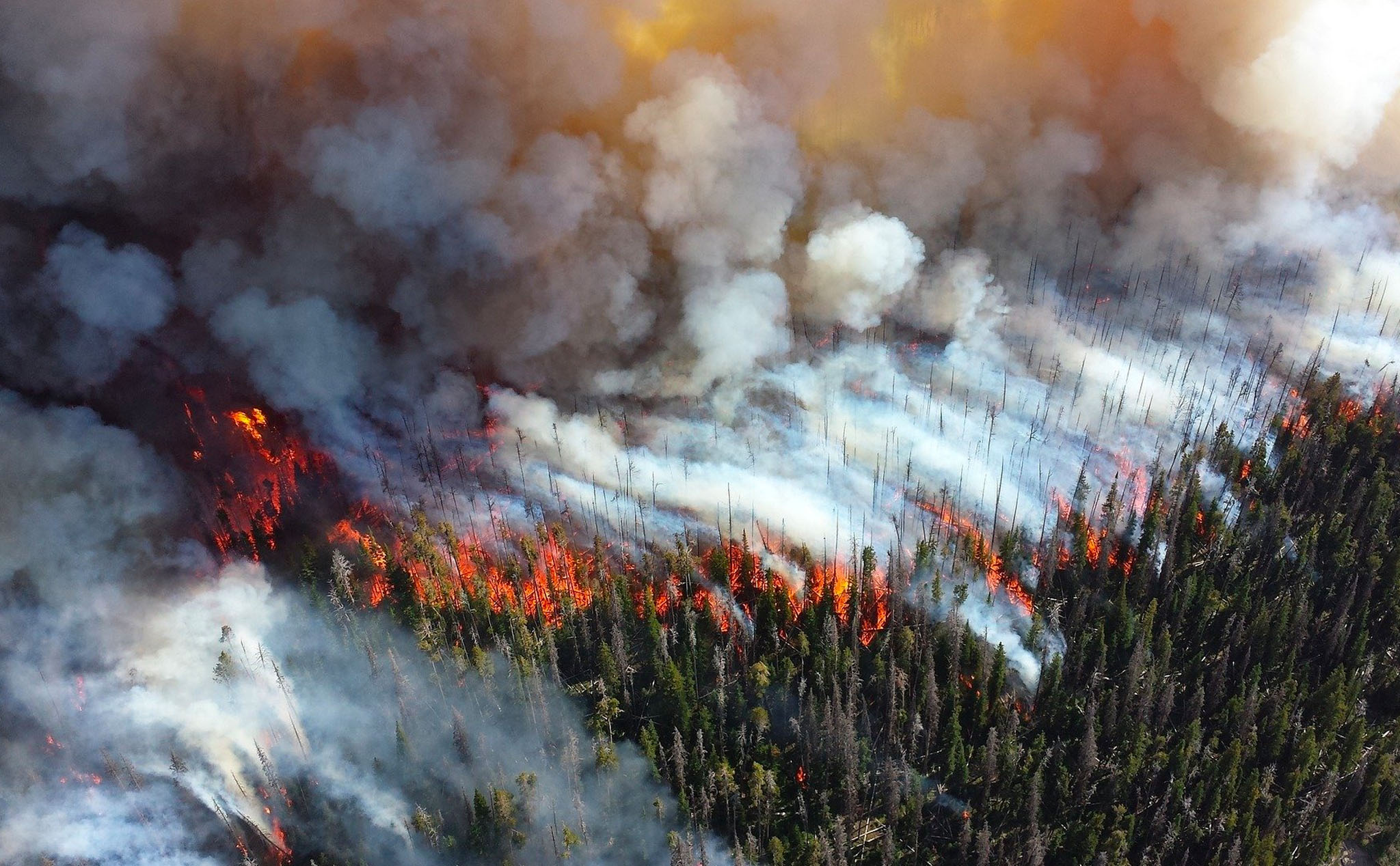Tại sao khói từ những vụ cháy rừng lại nguy hiểm hơn những dạng ô nhiễm không khí khác?