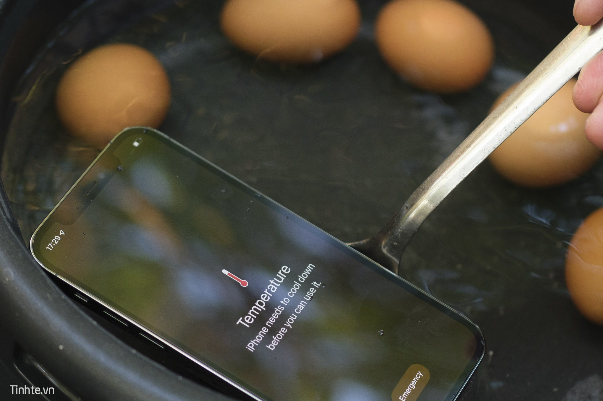 Luộc iPhone và trứng. Trứng chín, iPhone sống