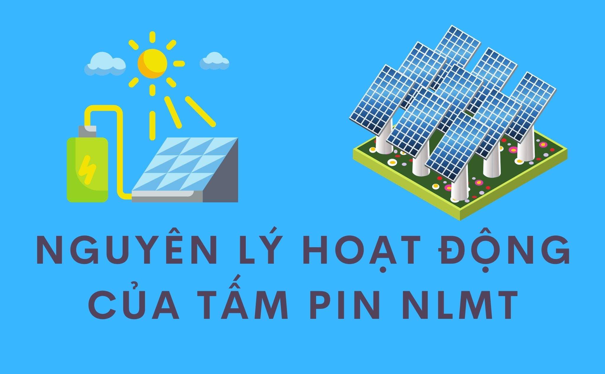 Infographic: Nguyên lý hoạt động của tấm pin năng lượng mặt trời (solar panel)