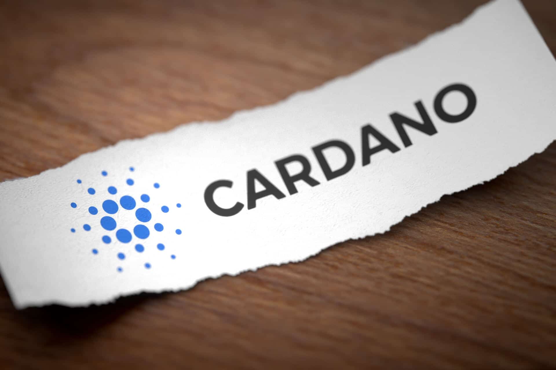 cardano-torn-paper-wo.jpg