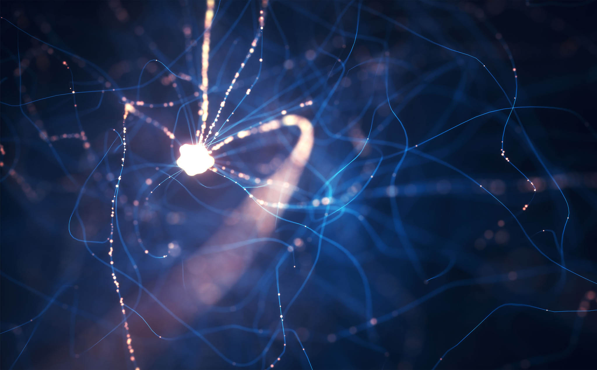 Một nơ ron thần kinh trong não bộ con người có sức mạnh điện toán phức tạp cỡ nào?