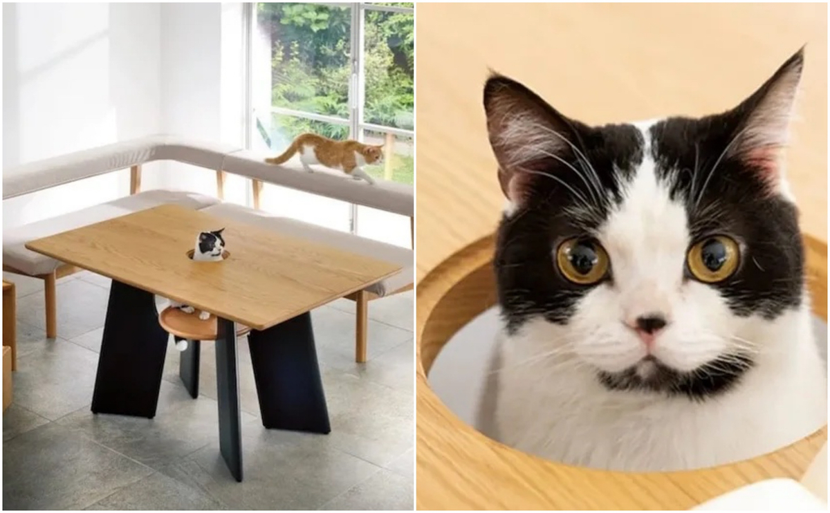 Chiếc bàn này được làm bởi hãng tên "Dinos" ở Nhật, có khoét một cái lỗ cho mèo chui lên chơi, có...