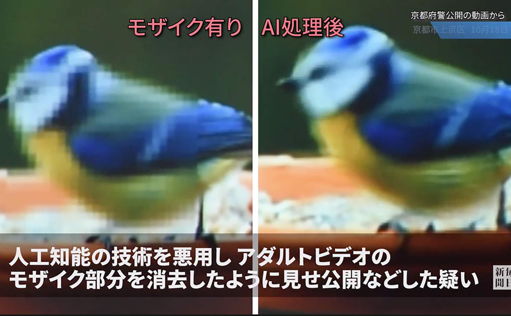 Sử dụng deepfake để làm nét cảnh bị làm mờ của phim xxx, người đàn ông Nhật bị cảnh sát bắt giữ