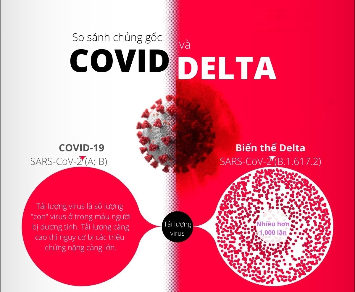 Infographic: So sánh chủng gốc Covid và chủng mới Delta