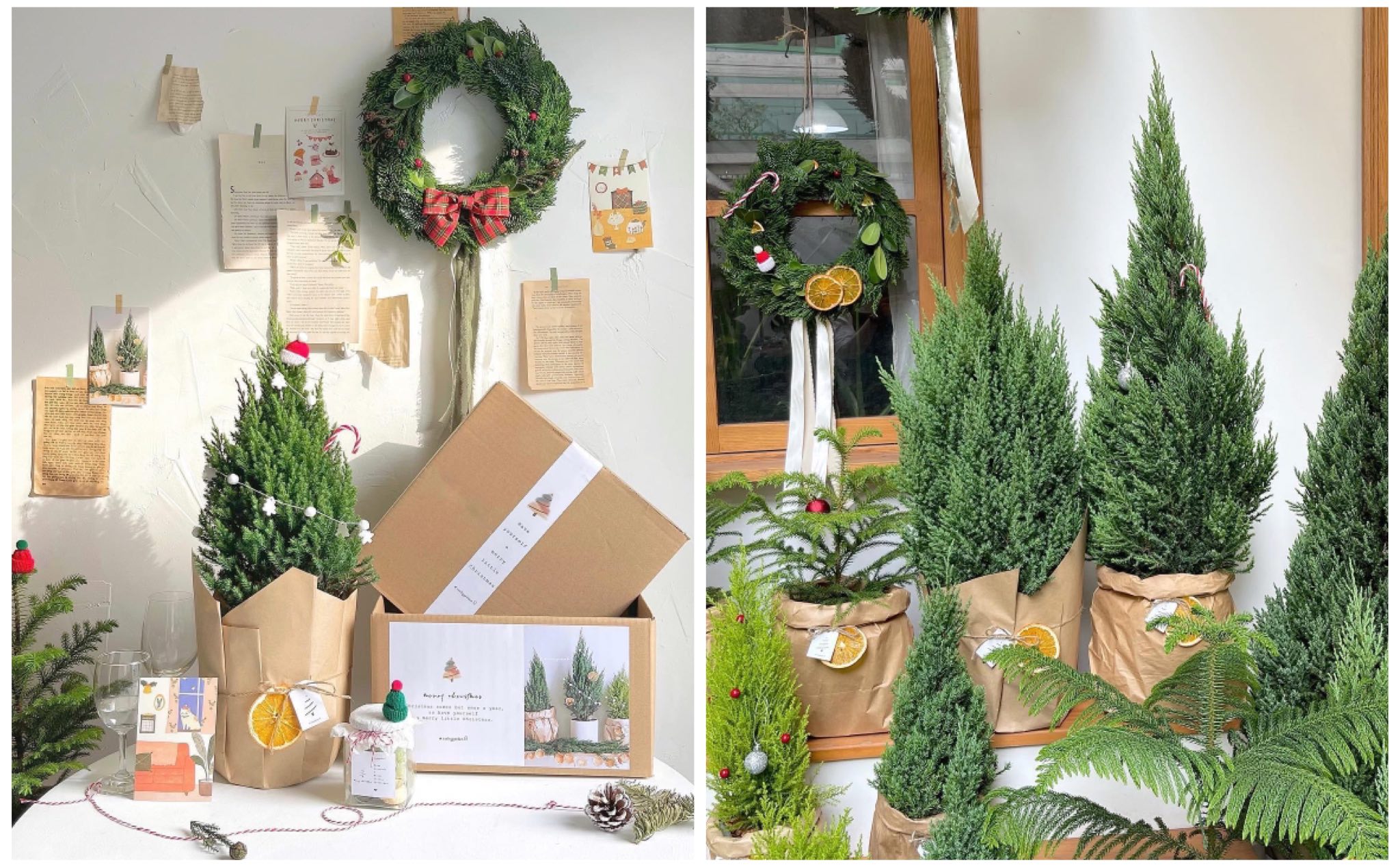 Tổng hợp các shop bán cây trang trí Giáng sinh, đẹp lung linh ở TP.HCM và Hà Nội