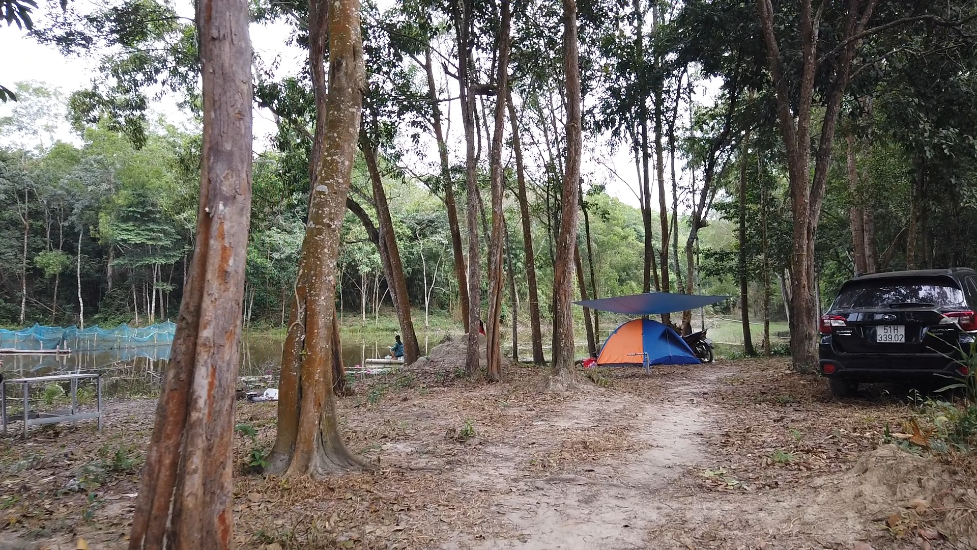 Review khu cắm trại Ong Rừng Camping trên núi Dinh.