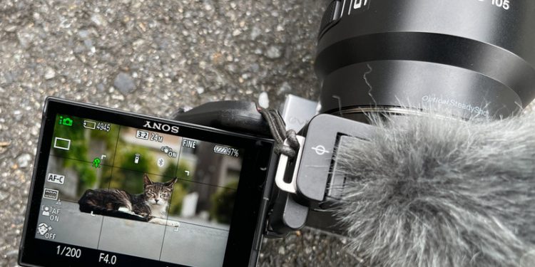 Cập nhật firmware ZV-E10 – Tính năng AF theo mắt động vật khi quay video