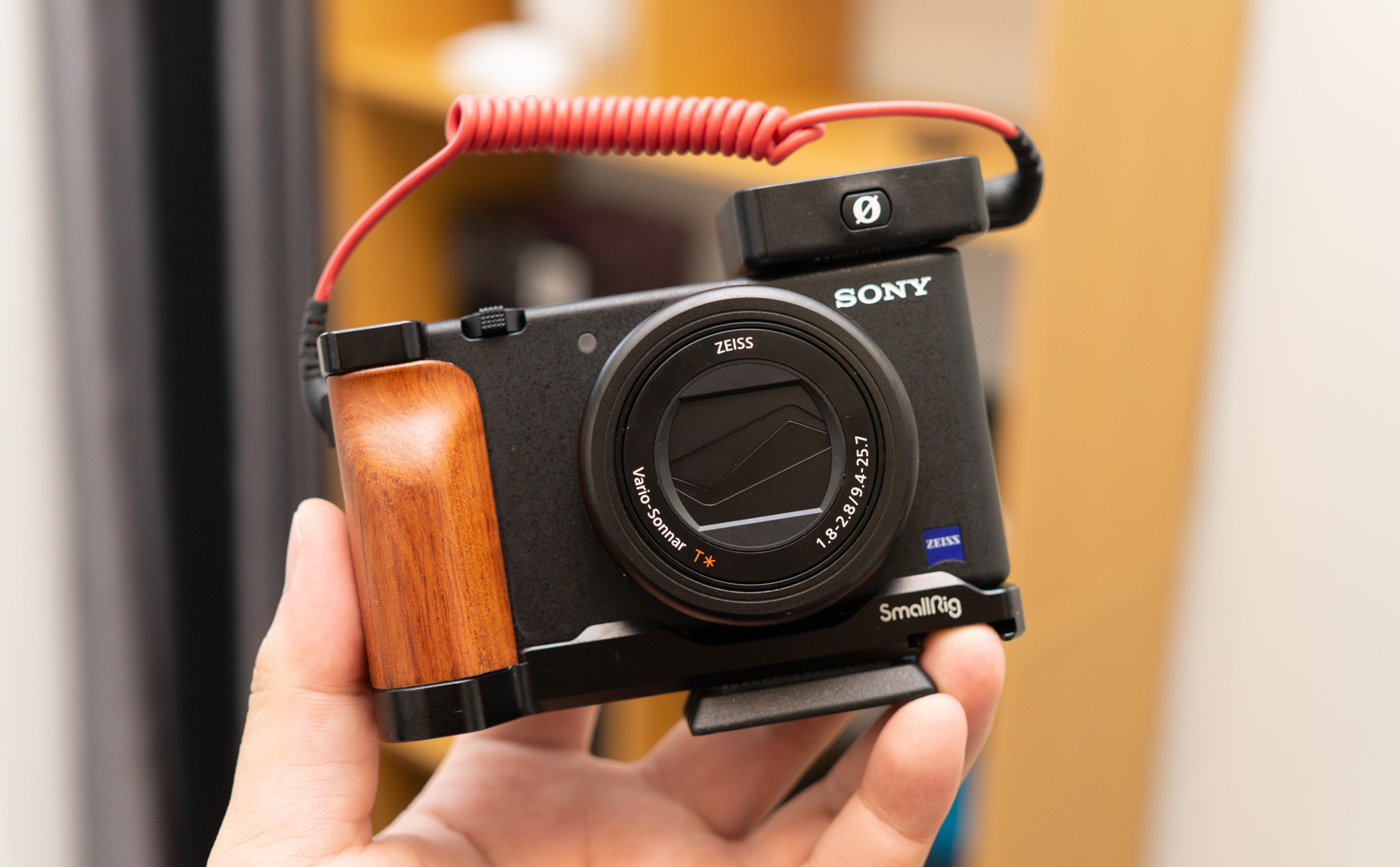 Sony ZV-1 Lookback 1.jpg