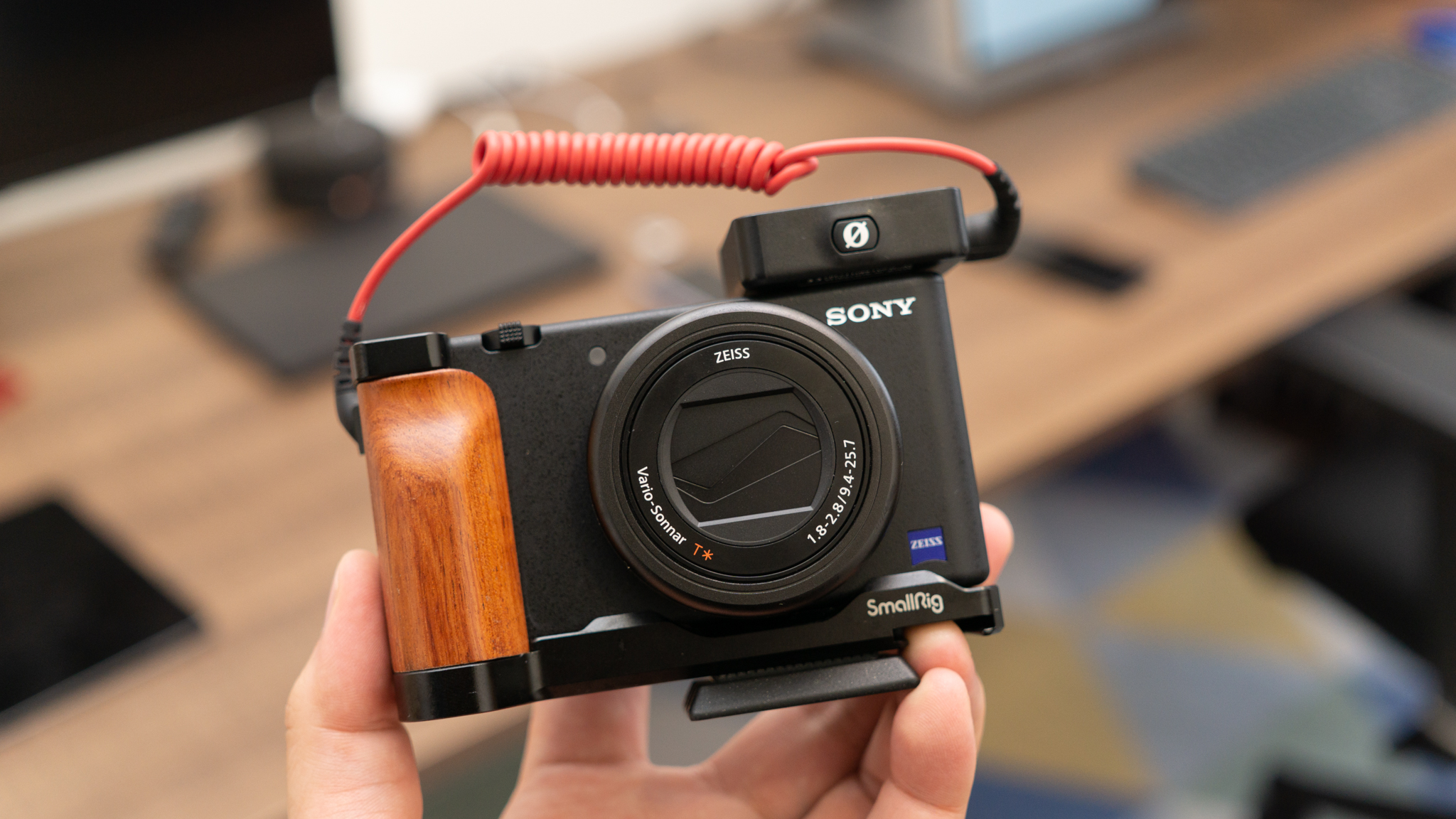 Sony ZV-1 Lookback 2.jpg
