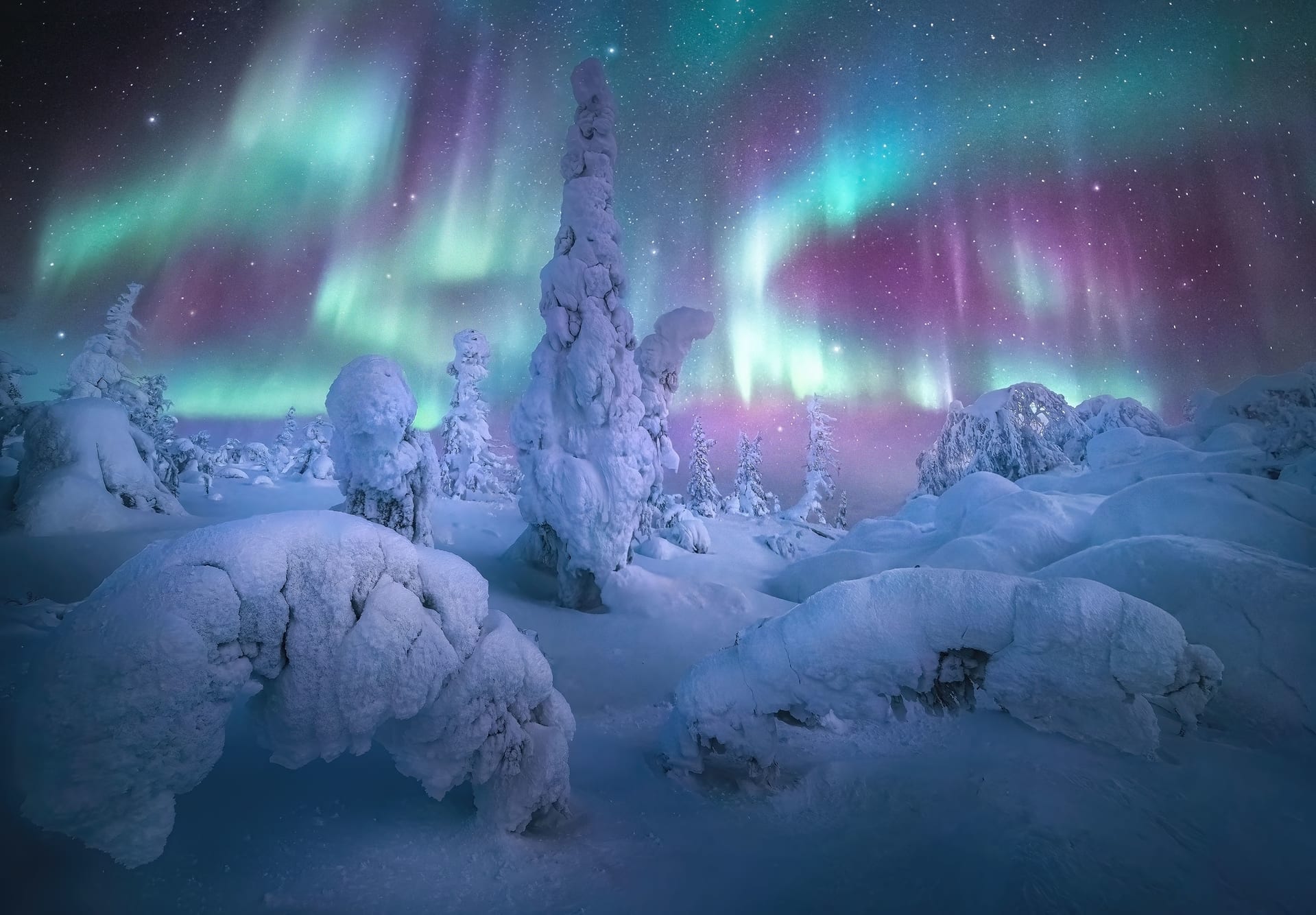 Northern-Lights-Alaska-image.jpg