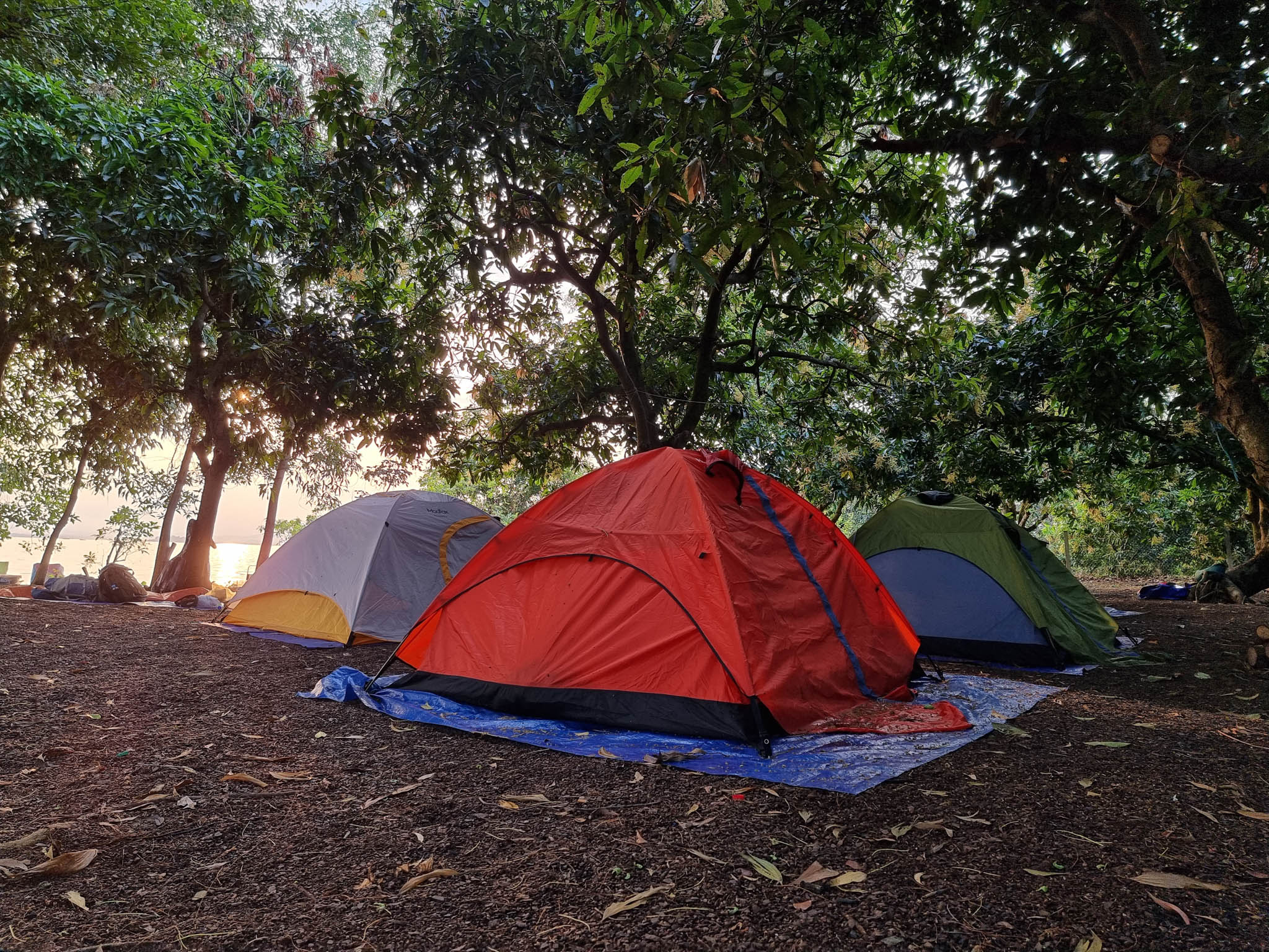 Camping_S21ultra_-34.jpg