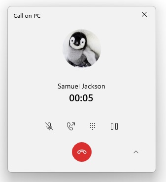 YP_new_calls.jpeg