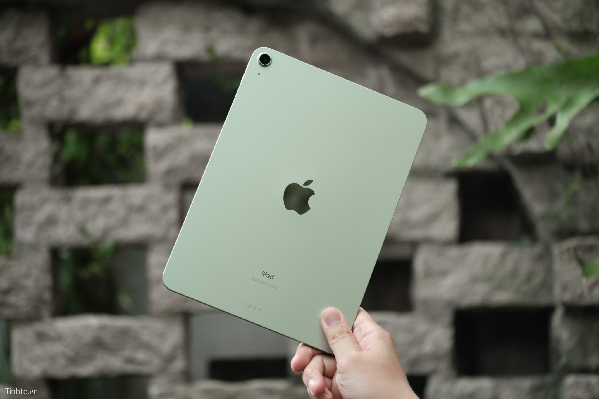 Tin đồn: iPad Air mới sẽ có thiết kế không đổi, ra mắt vào Mùa Xuân năm nay