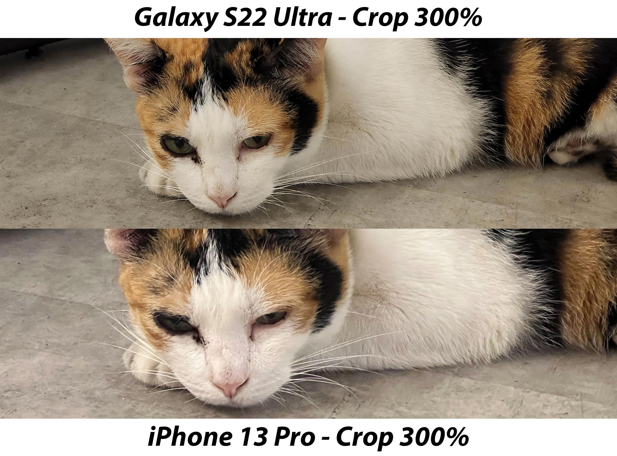 So_sánh_camera_chân_dung_s22_ultra_vs_iPhone_13_pro_cận_12.jpg