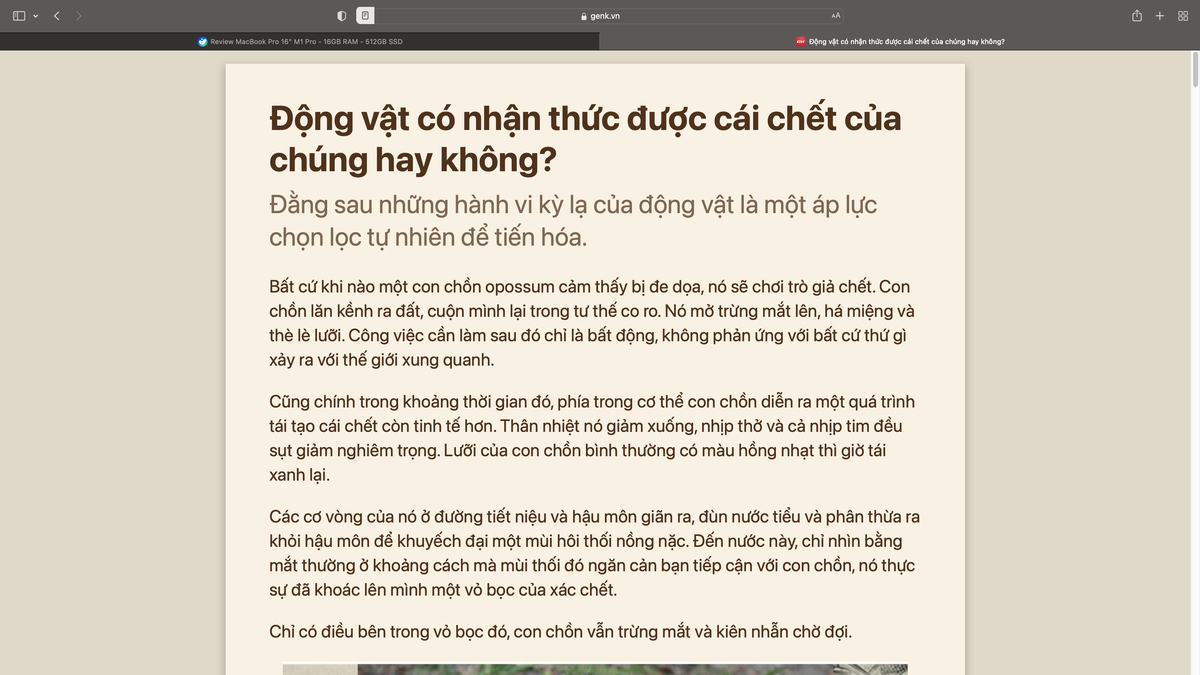 Reader mode trên safari là cái thứ mình thấy rất ngon anh em nên bật mặc định lên. Nó giúp anh em...