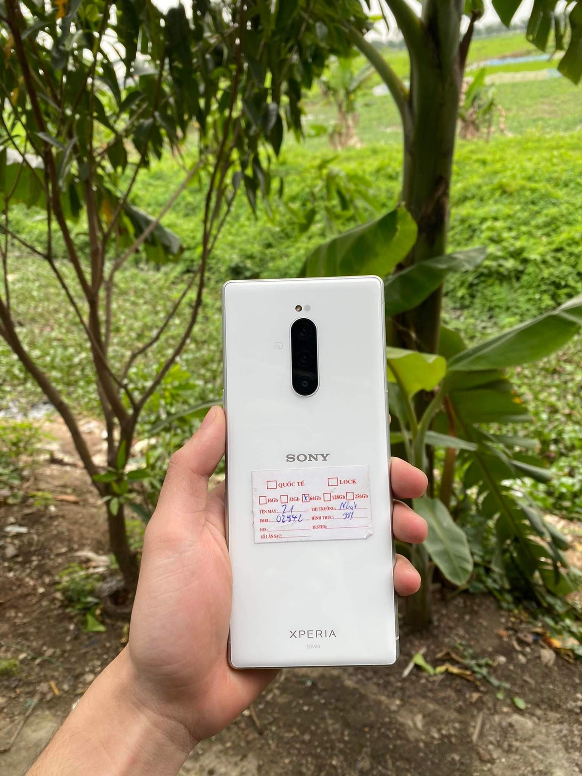 Đồng chí sony