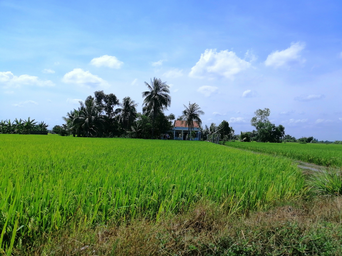 Một ngôi nhà nhỏ nằm bên cạnh cao tốc TP HCM - Trung Lương. Nhà này khỏi cần máy lạnh, bao mát.