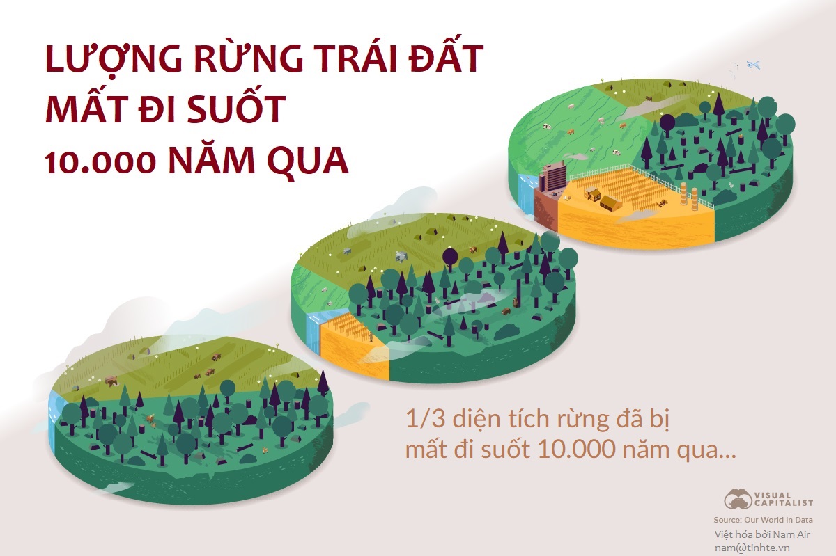 Infographic: Trái đất đã bị mất 1/3 diện tích rừng suốt 10 ngàn năm qua