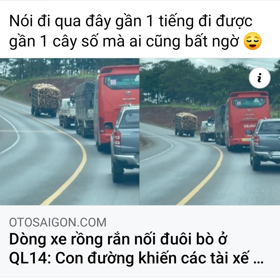 Thằng vàng và thằng chim mồi kìm hãm sự phát triển của đất nước.