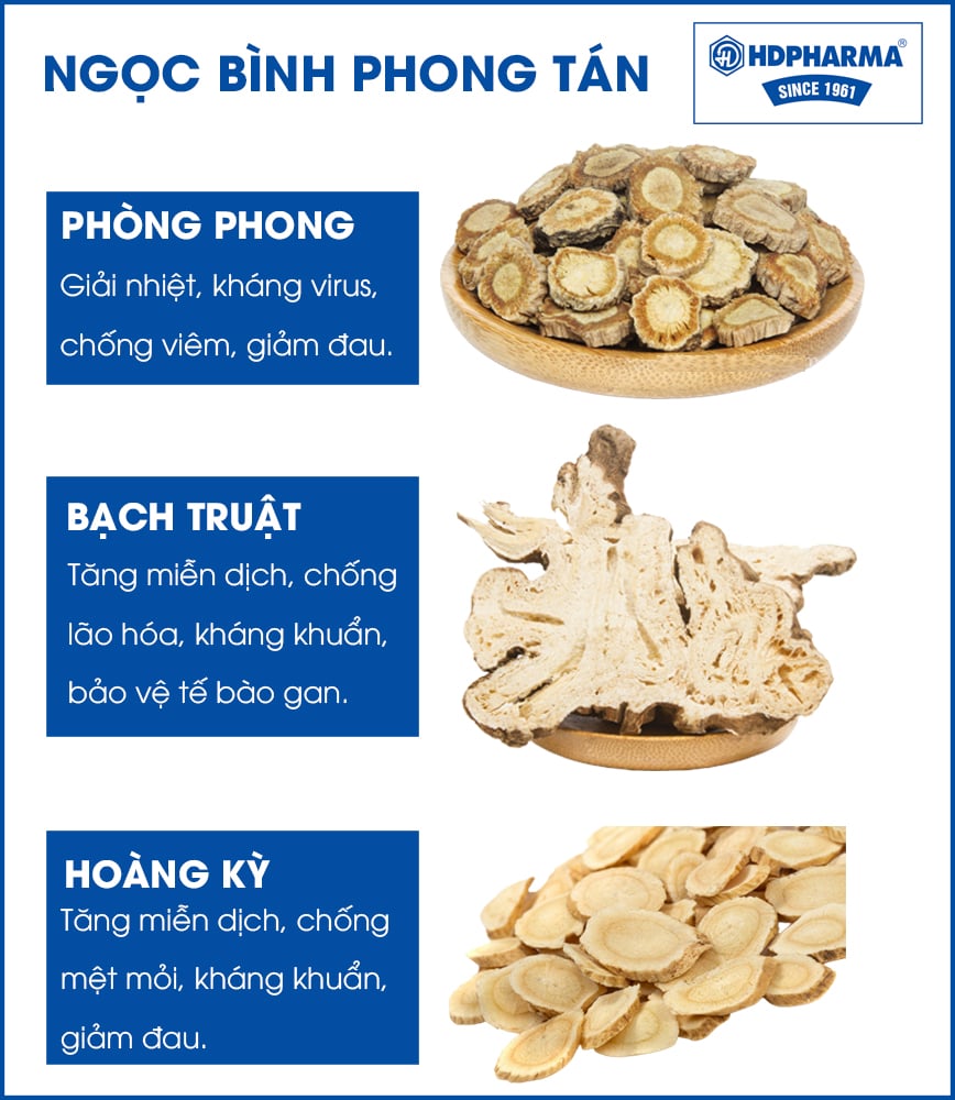 NGỌC BÌNH PHONG TÁN – BÀI THUỐC HỖ TRỢ ĐIỀU TRỊ COVID-19