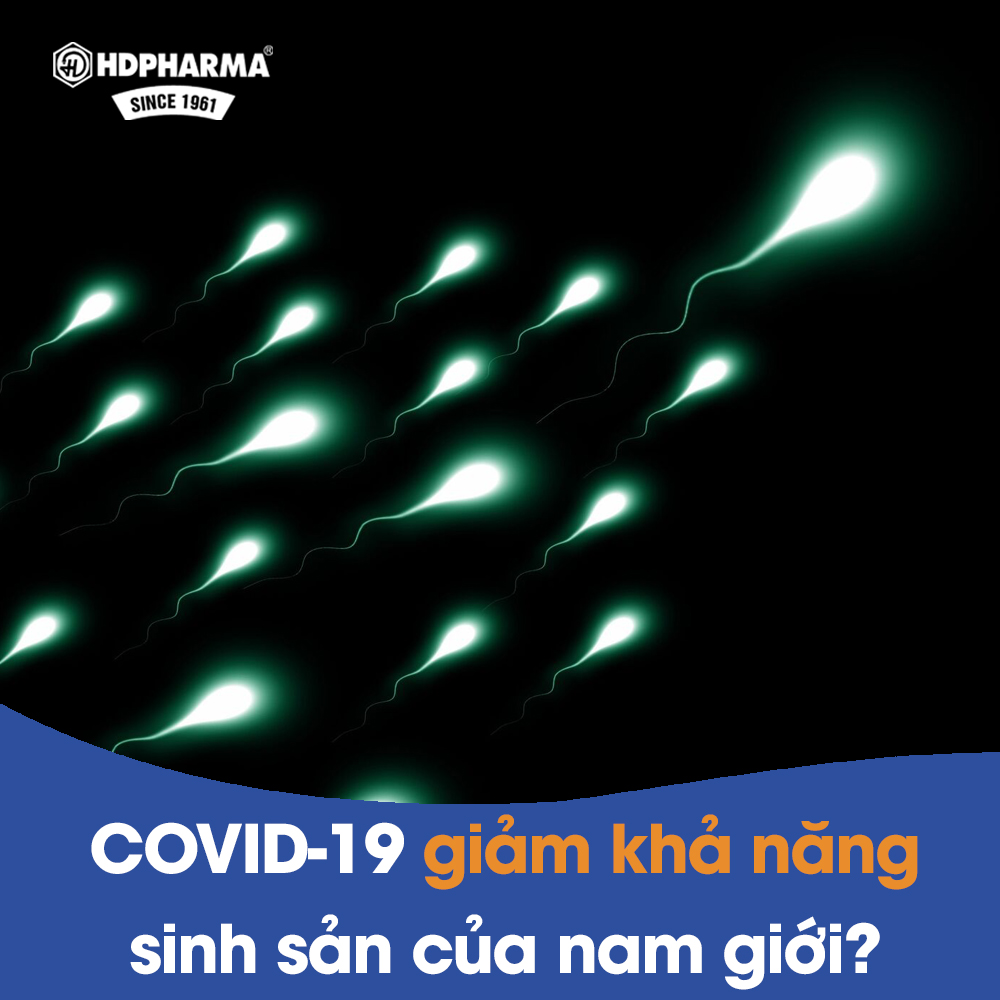 Thêm nghiên cứu cho thấy COVID-19 làm giảm khả năng sinh sản của nam giới