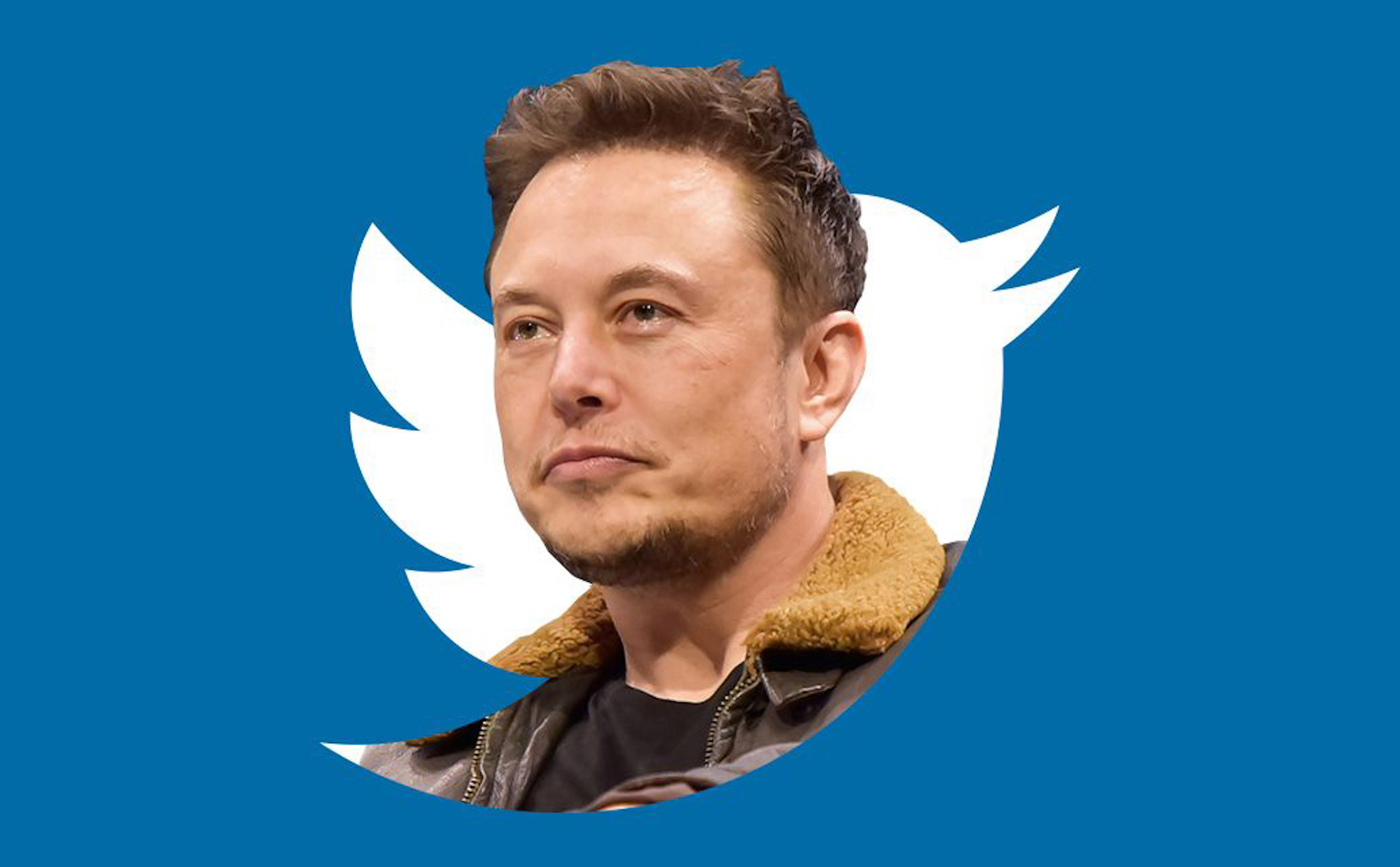 Elon Musk không tham gia vào hội đồng quản trị của Twitter