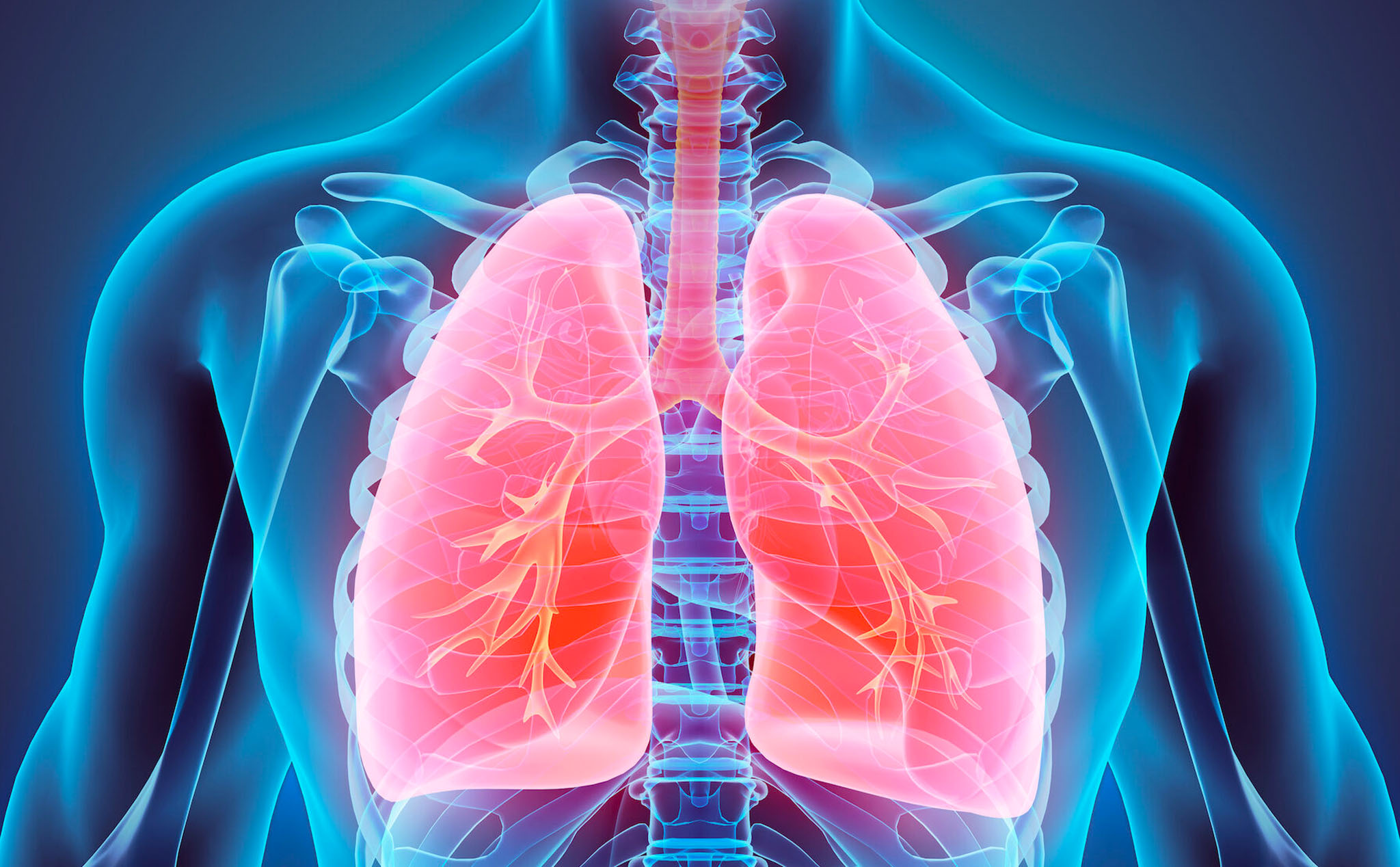 Lần đầu tiên phát hiện hạt vi nhựa tồn tại trong phổi người sống