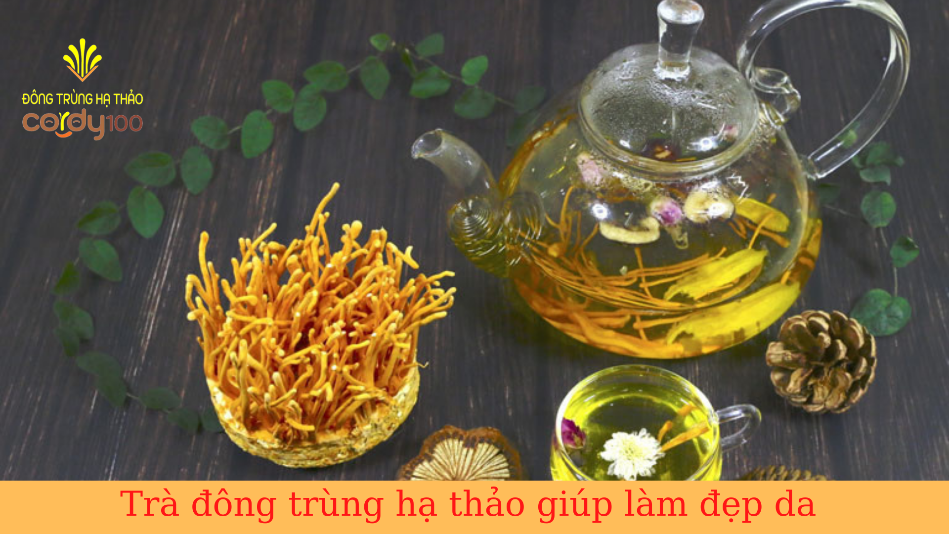 tra-dong-trung-ha-thao-giup-lam-dep-da.png