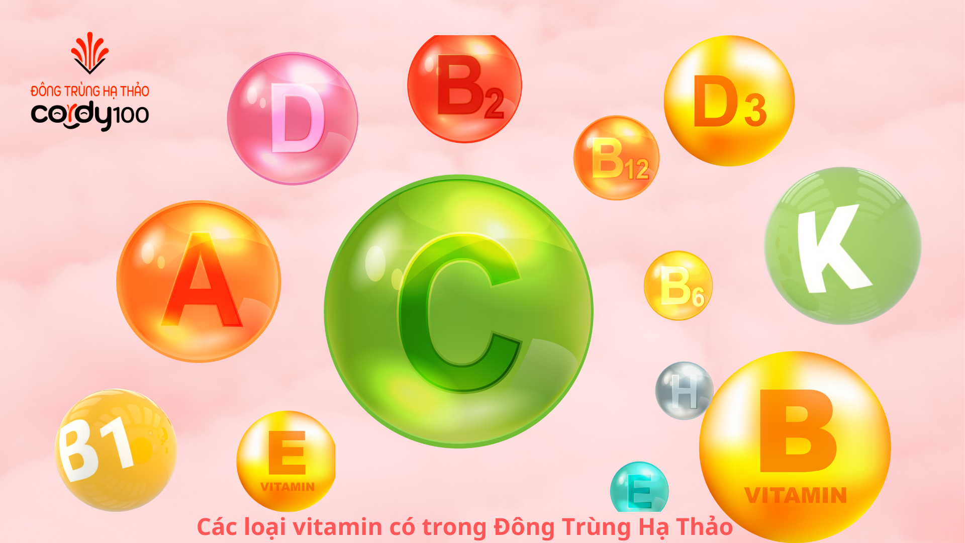 cac-loai-vitamin-co-trong-dong-trung-ha-thao.png