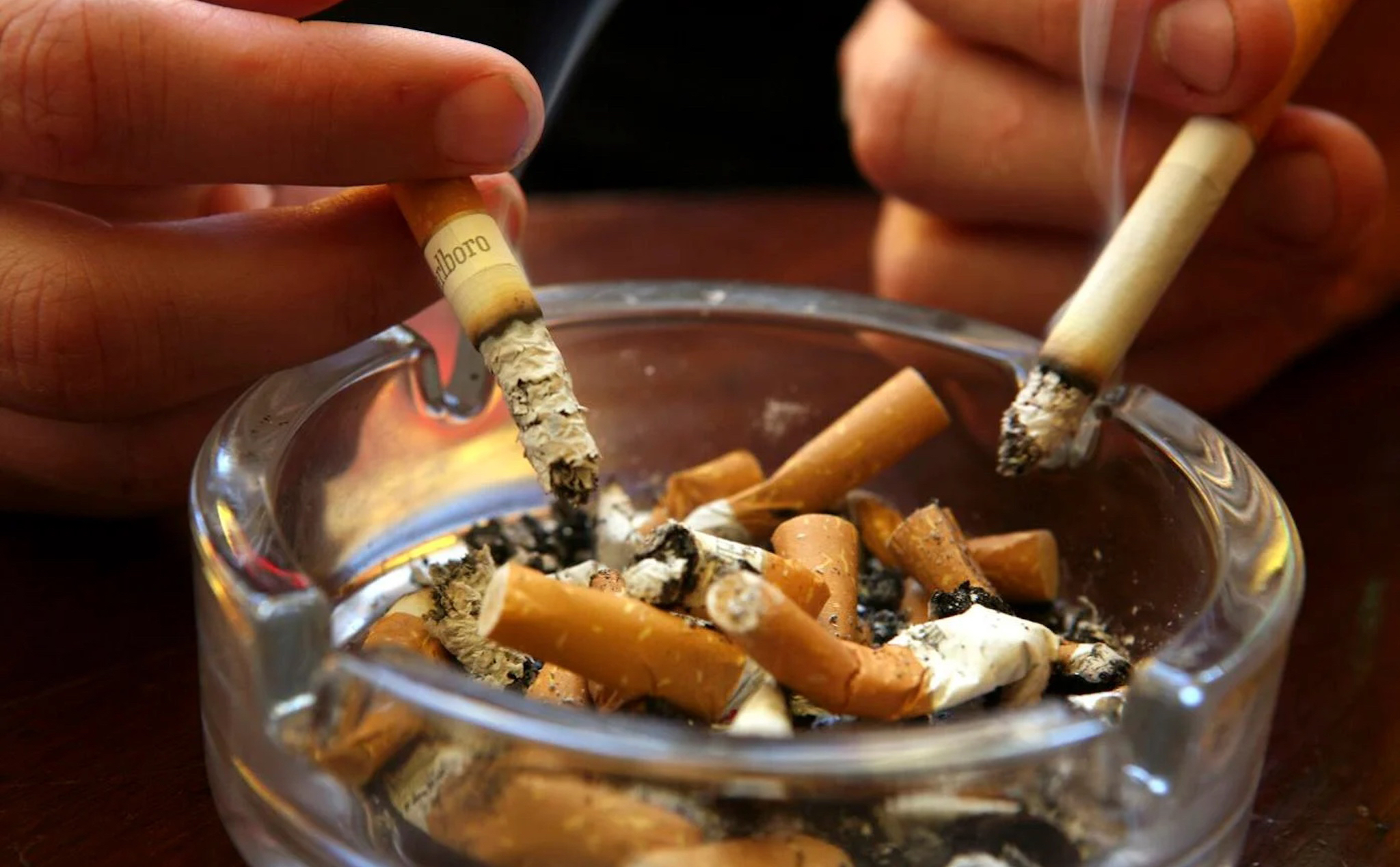FDA Mỹ đề xuất cấm thuốc lá bạc hà và xì gà có hương vị